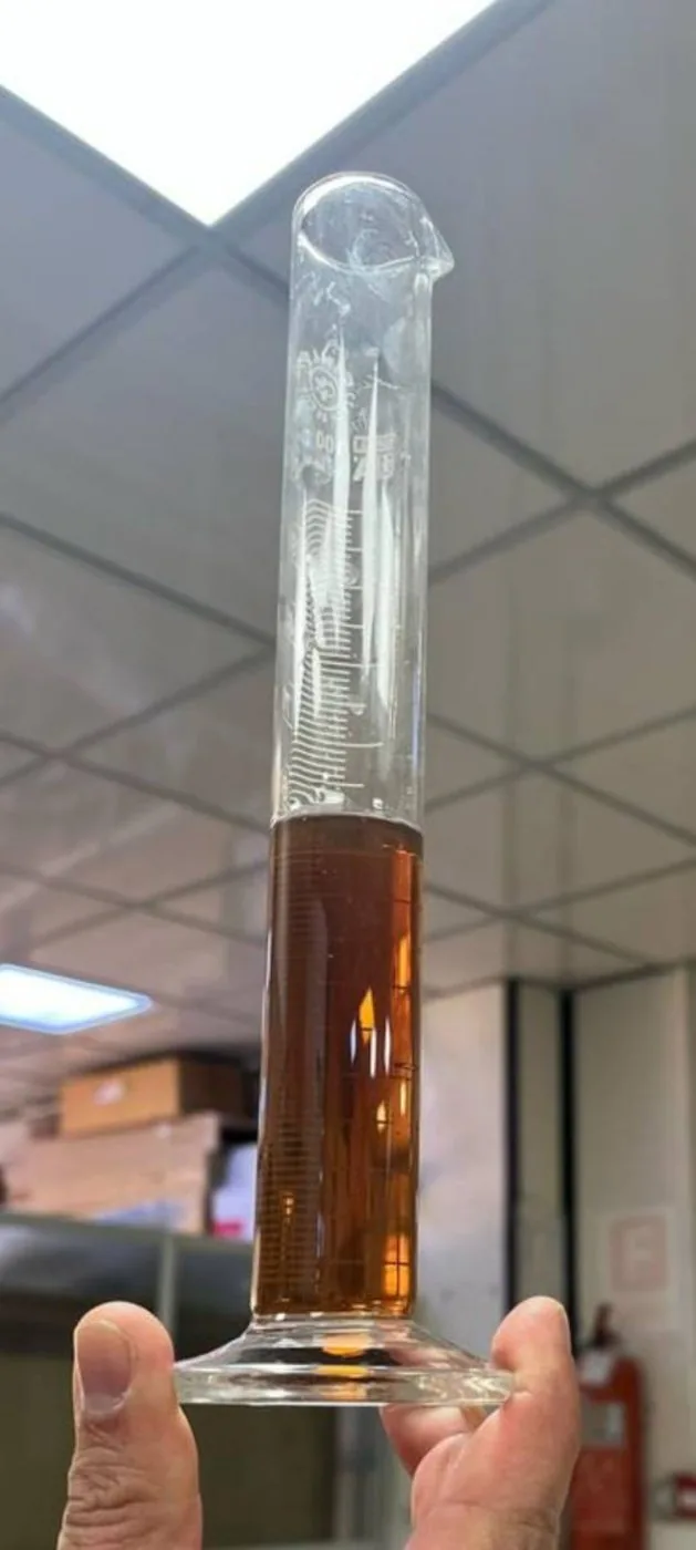 LABSA